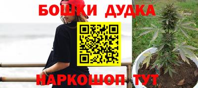 индика Чебоксары