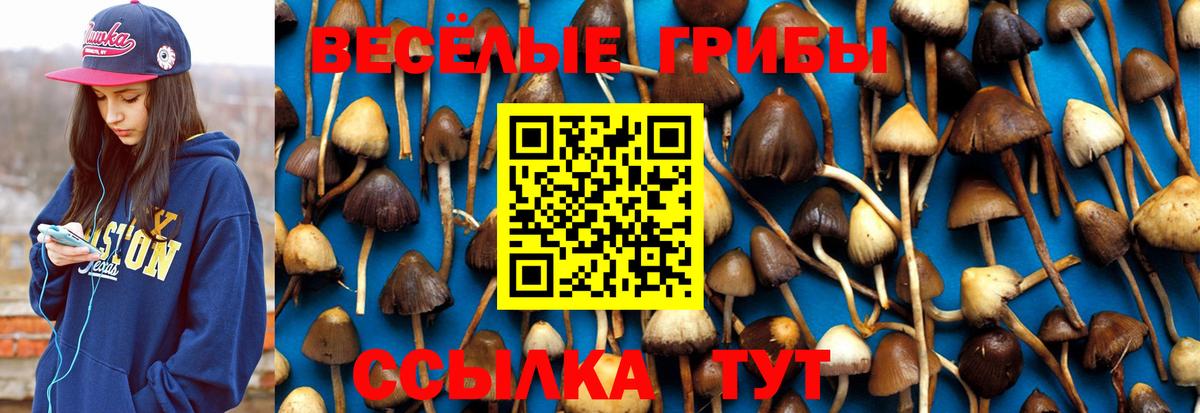 Псилоцибиновые грибы Magic Shrooms Бердск