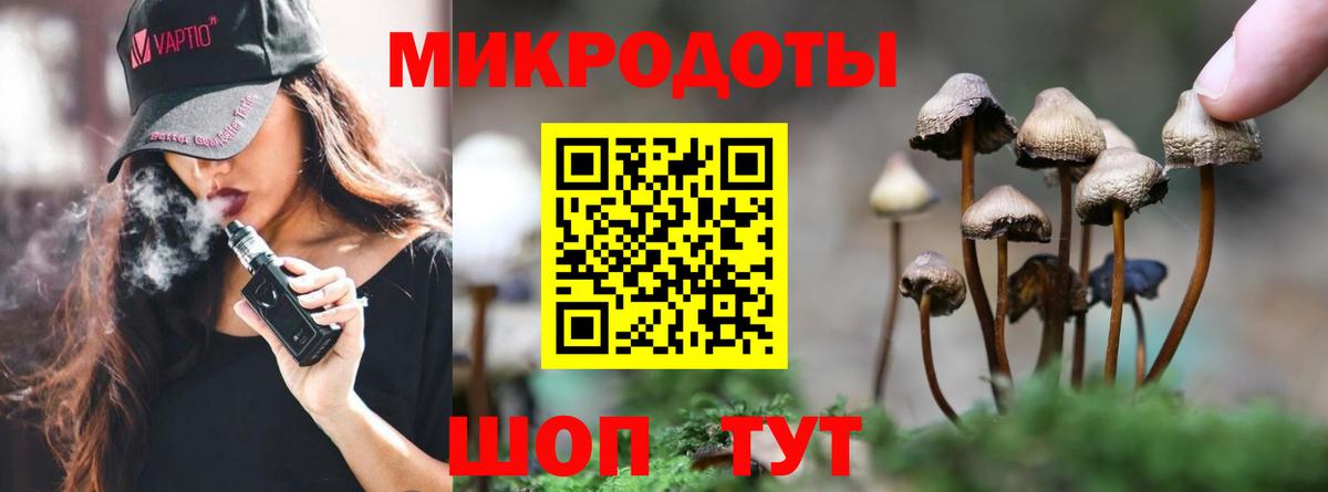 Бердск  Галлюциногенные грибы Magic Shrooms  Вход с VPN 